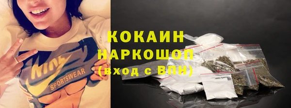 стафф Богданович