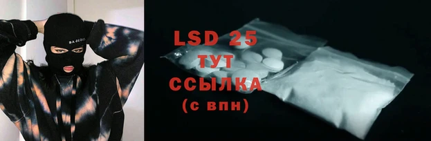стафф Богданович