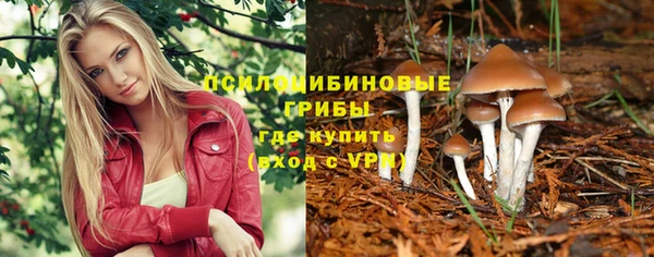 мяу мяу мука Богородицк