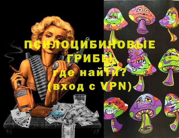 стафф Богданович