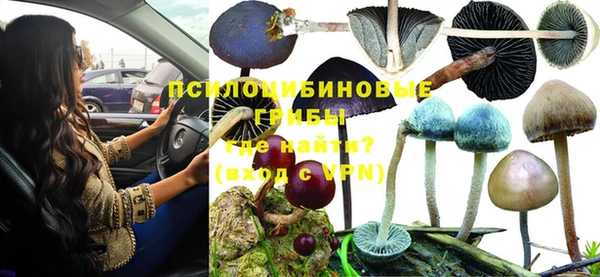 стафф Богданович
