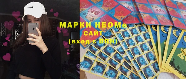 стафф Богданович
