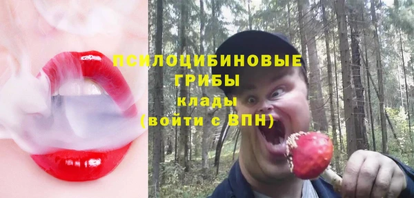 стафф Богданович