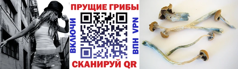 Псилоцибиновые грибы Magic Shrooms  Демидов 